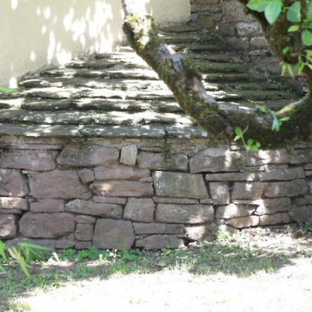 Gite L'Oustal Occitan A Saint-Juery Villa Kültér fotó