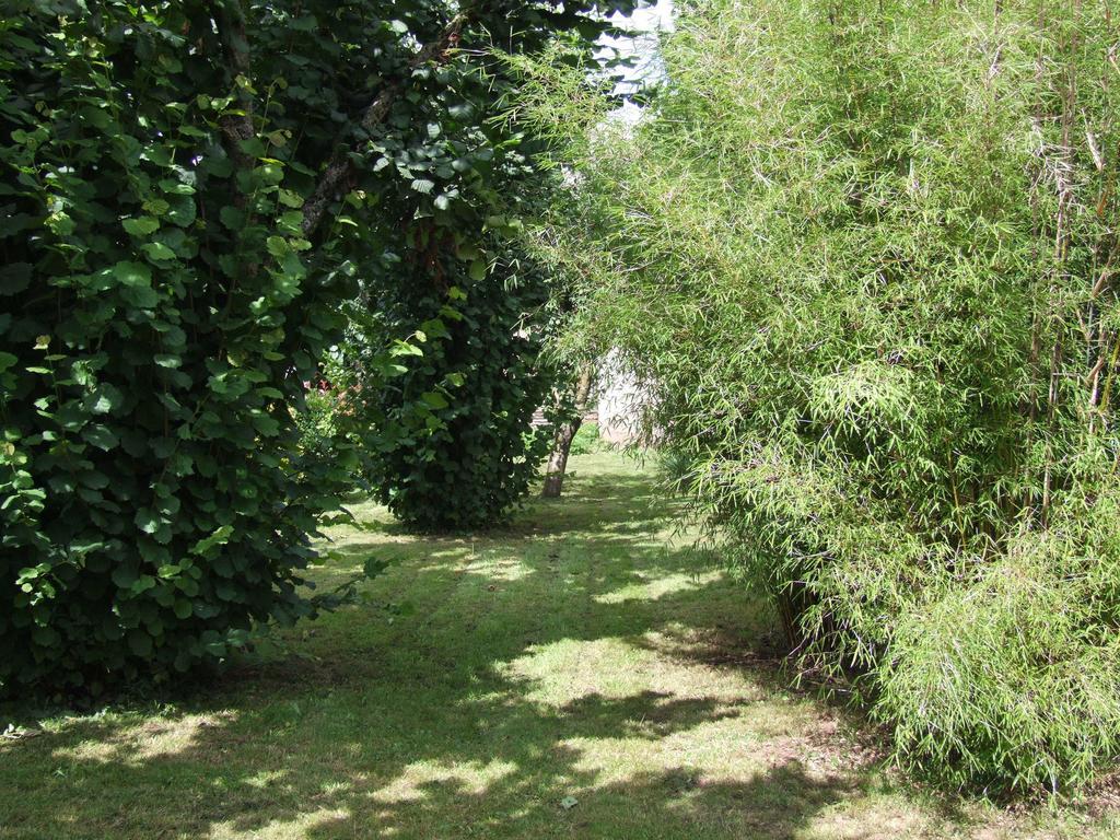 Gite L'Oustal Occitan A Saint-Juery Villa Szoba fotó